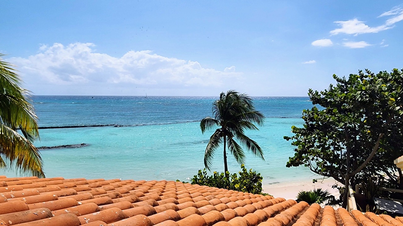 Photo of Others in Puerto Aventuras