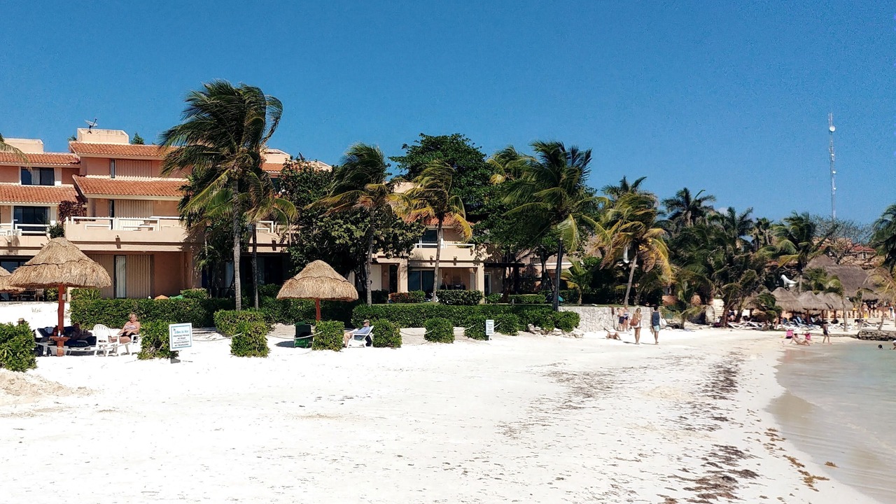 Photo of Others in Puerto Aventuras