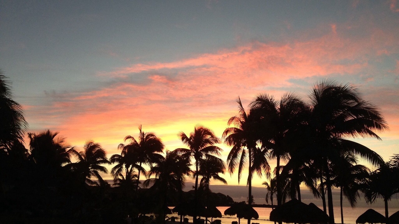 Photo of Others in Puerto Aventuras