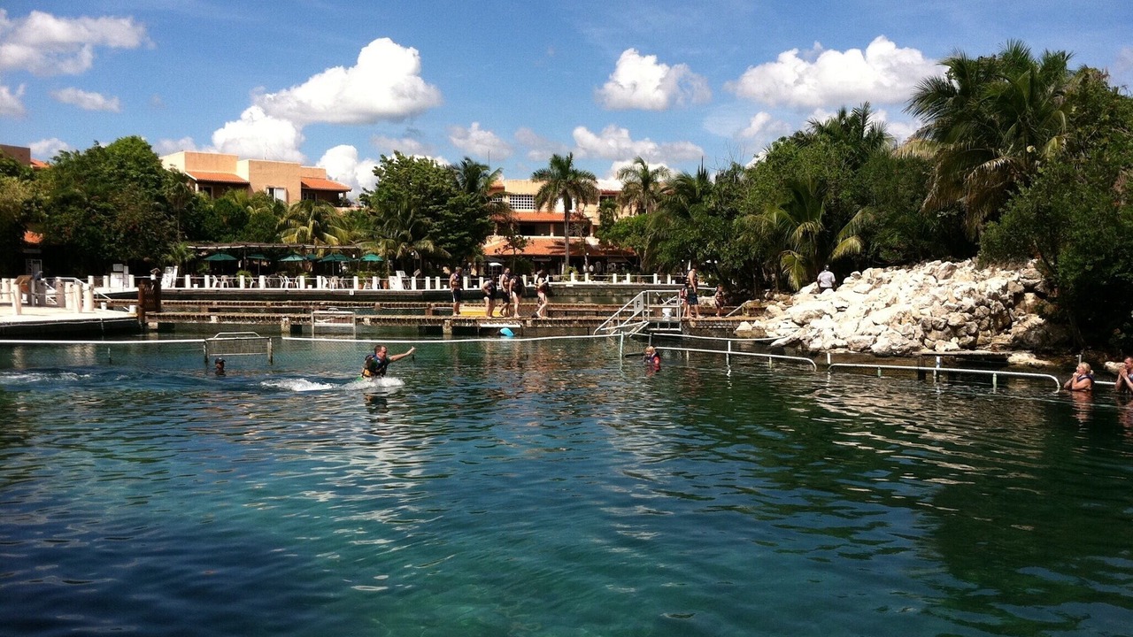 Photo of Others in Puerto Aventuras