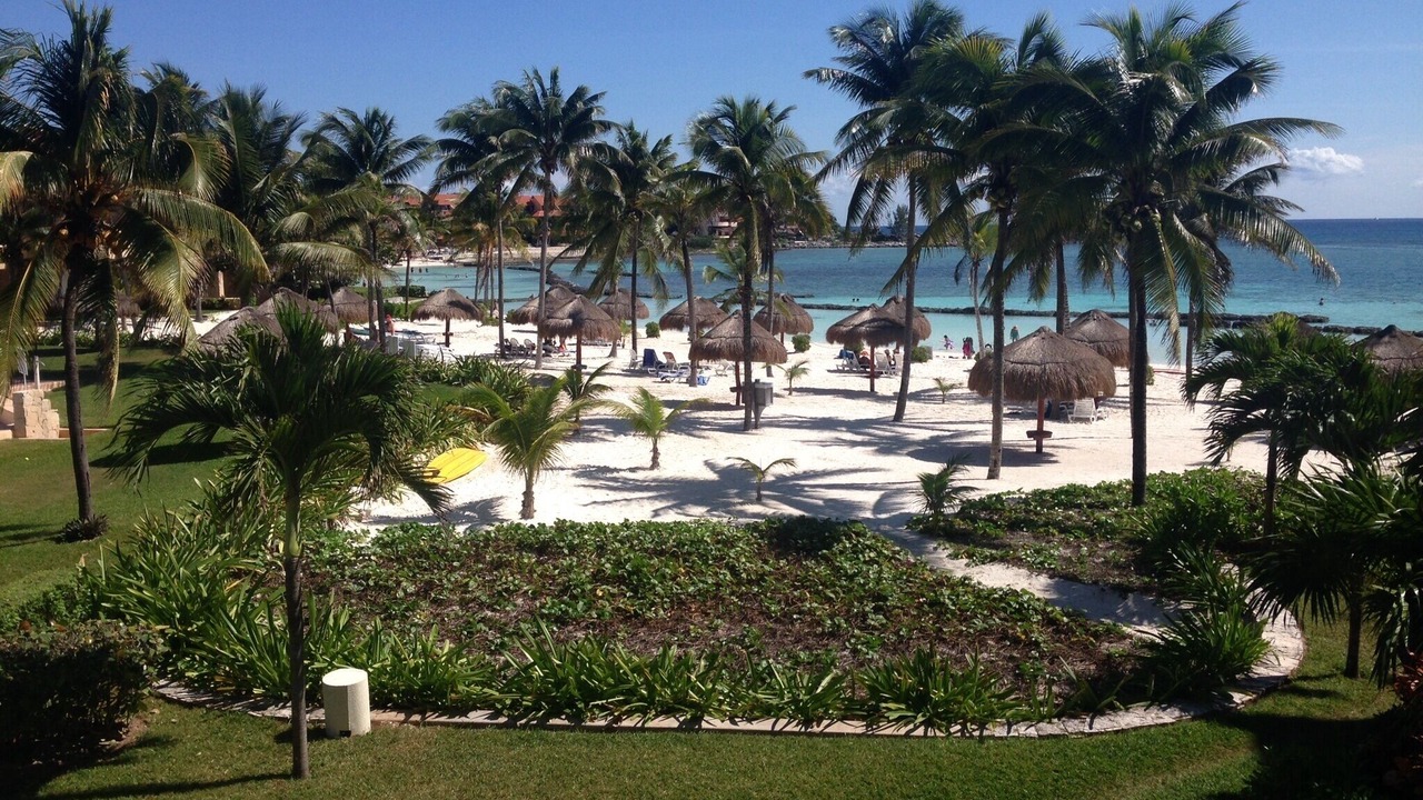 Photo of Others in Puerto Aventuras
