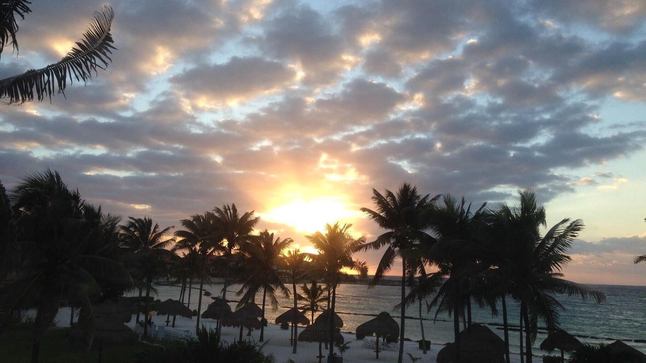 Photo of Others in Puerto Aventuras