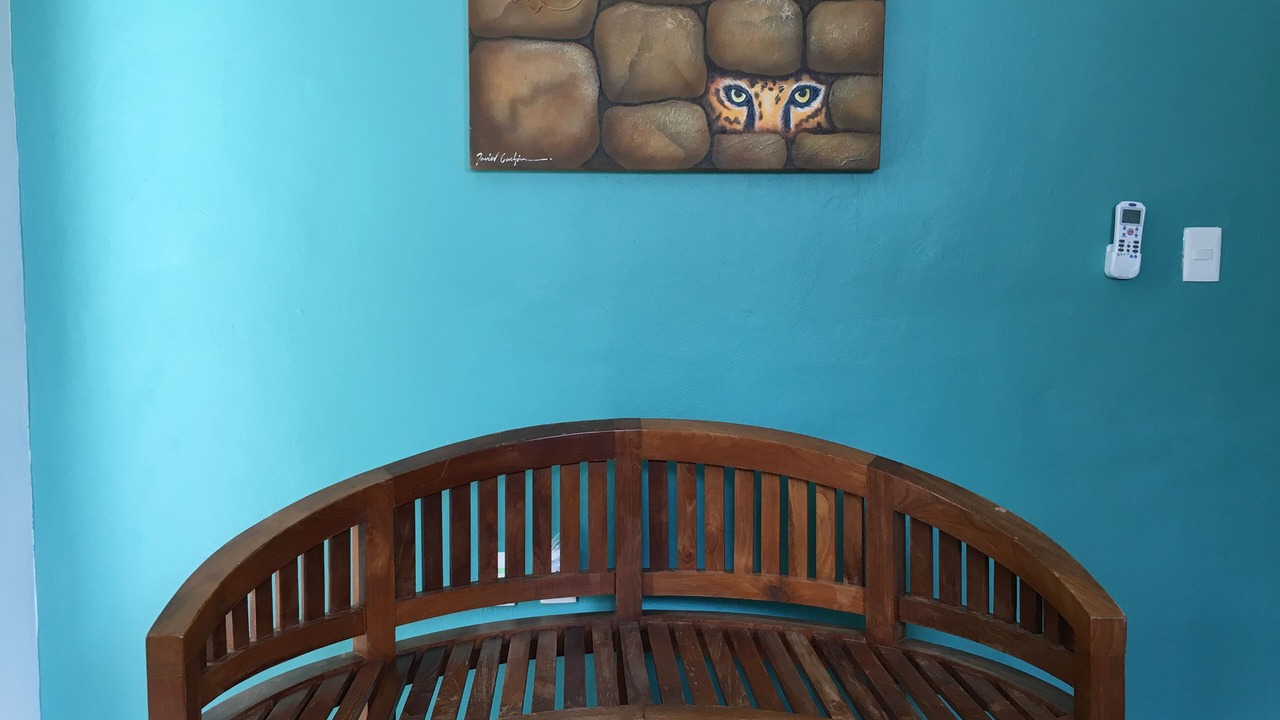 Photo of Others in Puerto Morelos