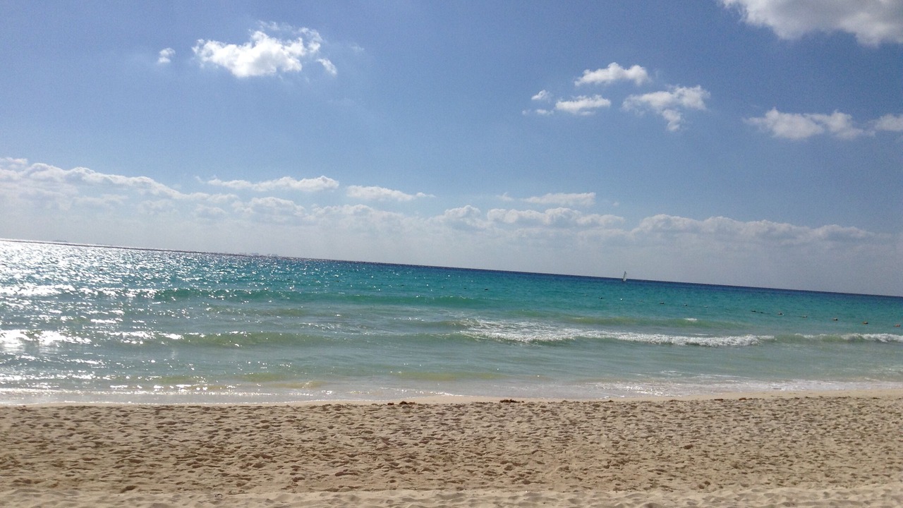 Photo of Others in Playacar Beach