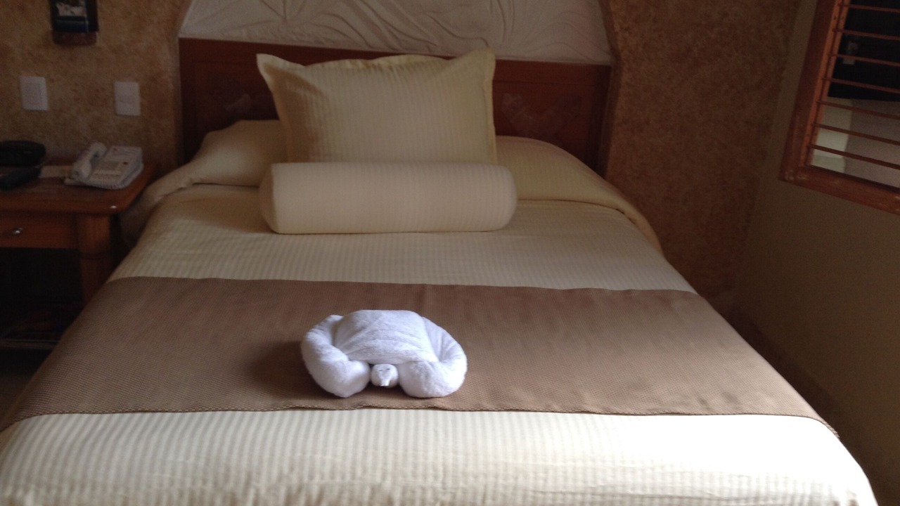 Photo of Bedroom in Playacar Beach