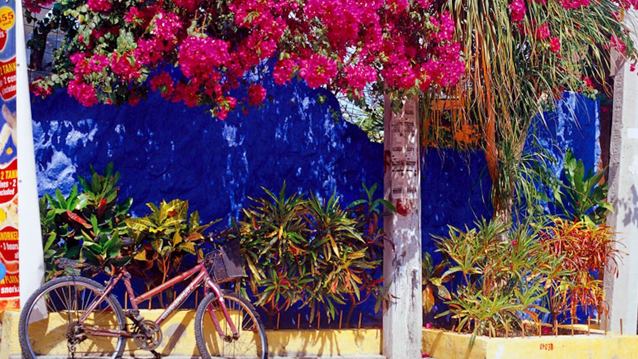 Photo of Outdoor in La Isla