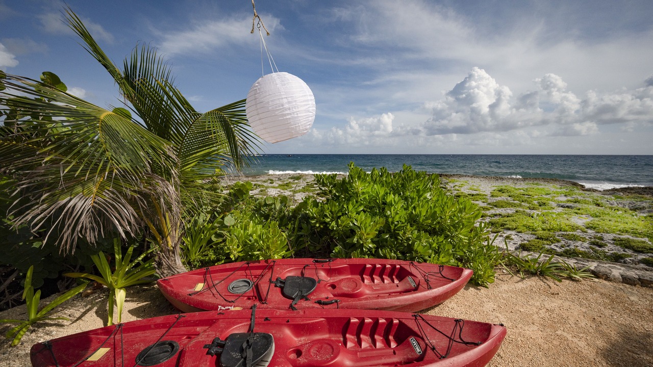 Photo of Others in Puerto Aventuras
