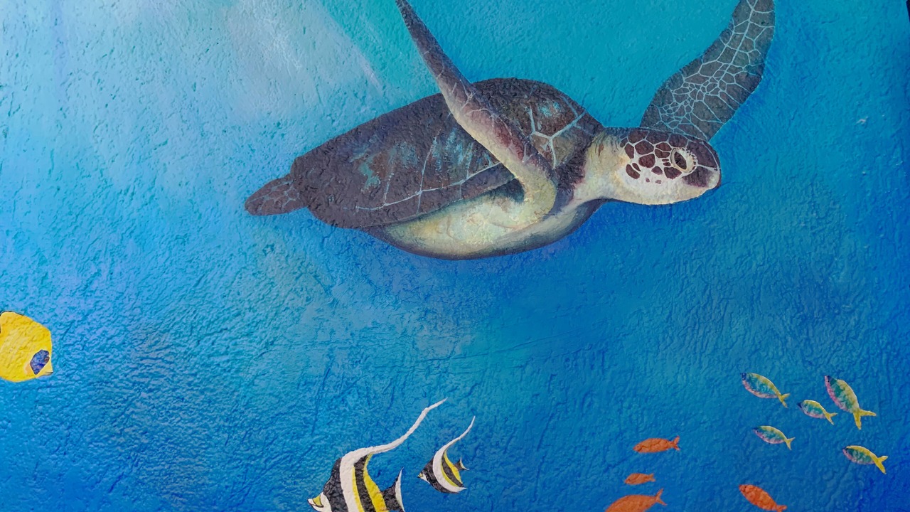 Photo of Others in Akumal