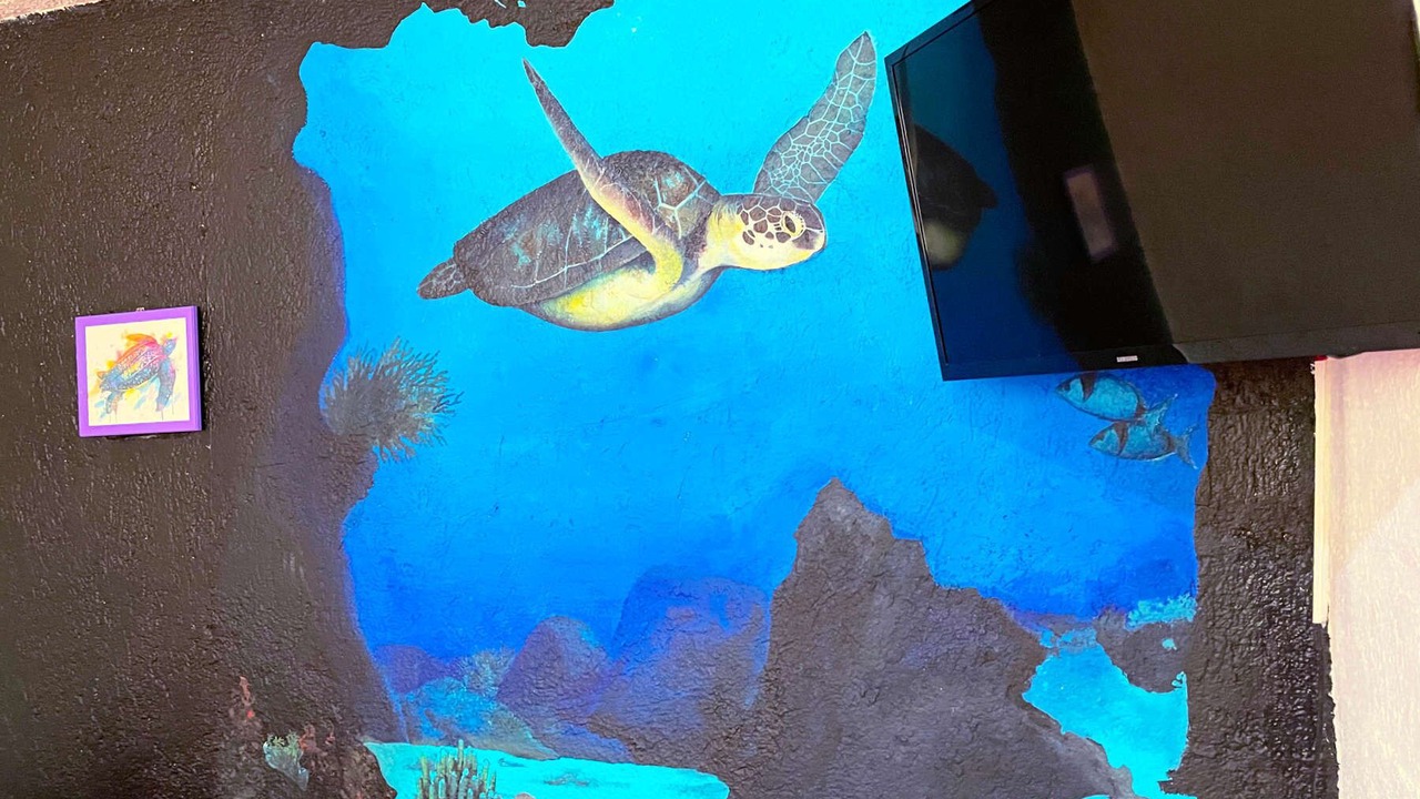 Photo of Others in Akumal