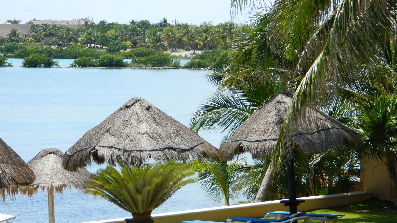 Photo of Others in Puerto Aventuras