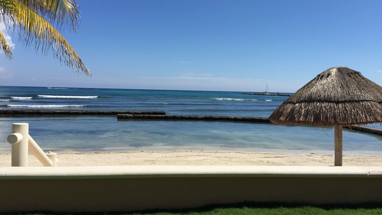 Photo of Others in Puerto Aventuras