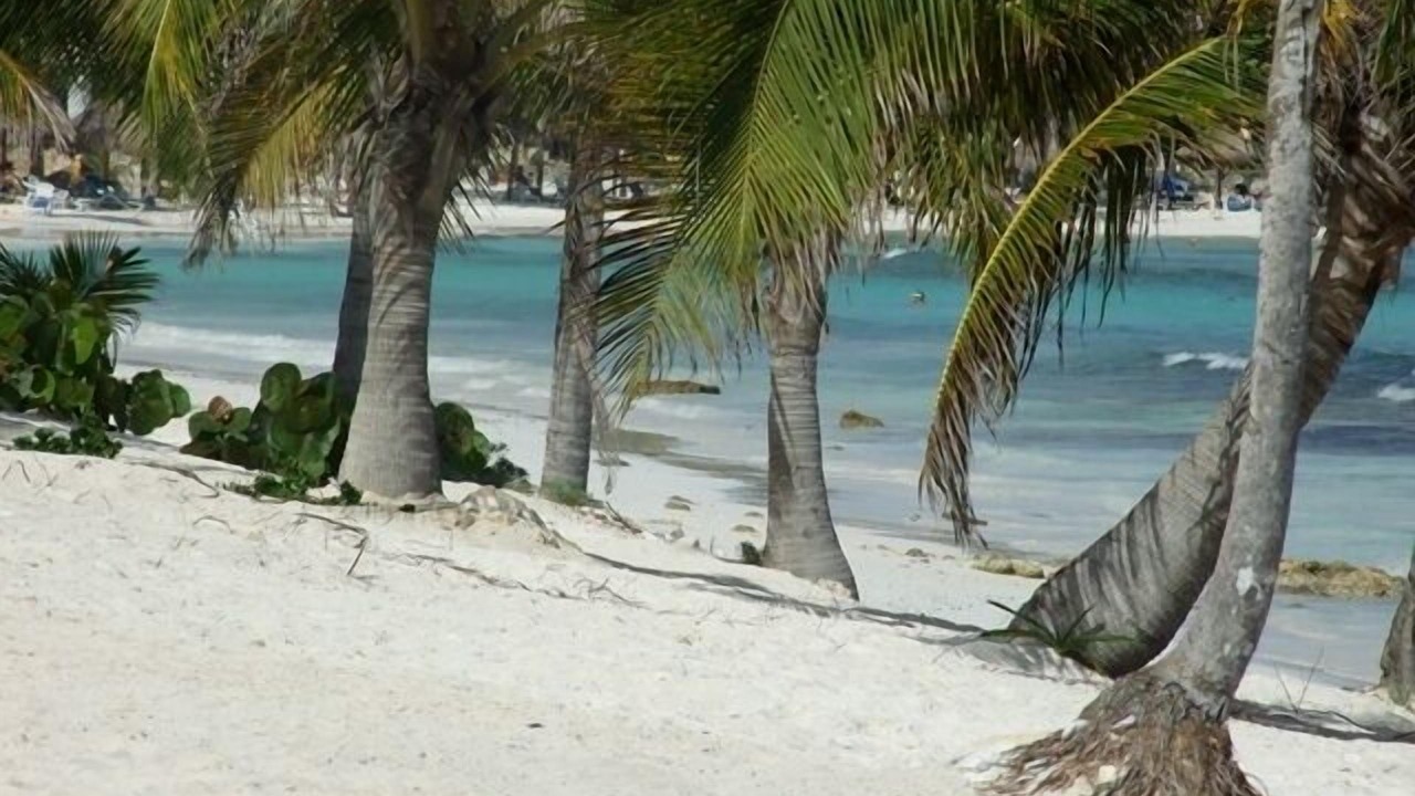 Photo of Others in Puerto Aventuras