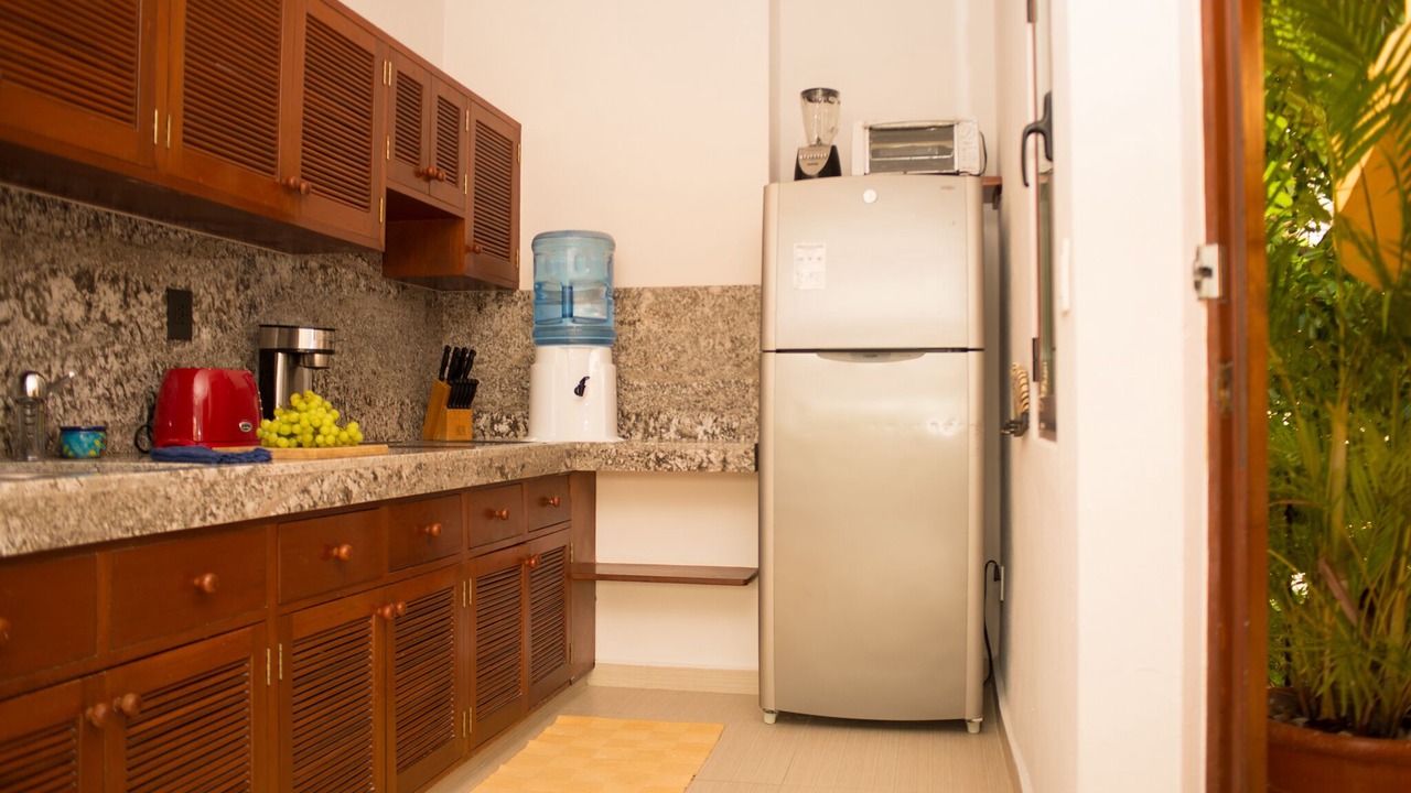 Photo of Kitchen in Gonzalo Guerrero