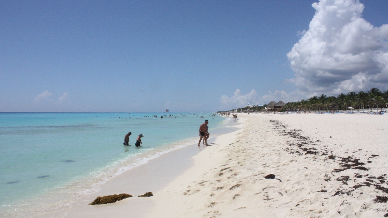 Photo of Others in Playacar