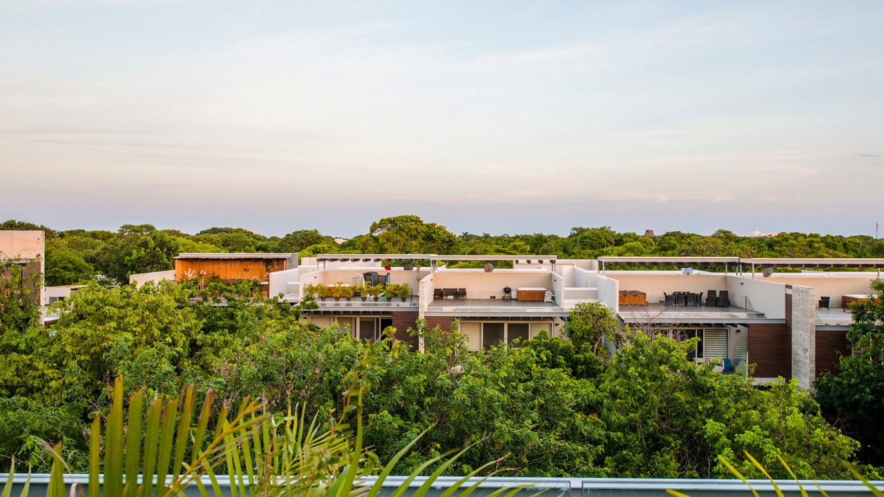 Photo of Outdoor in Playacar