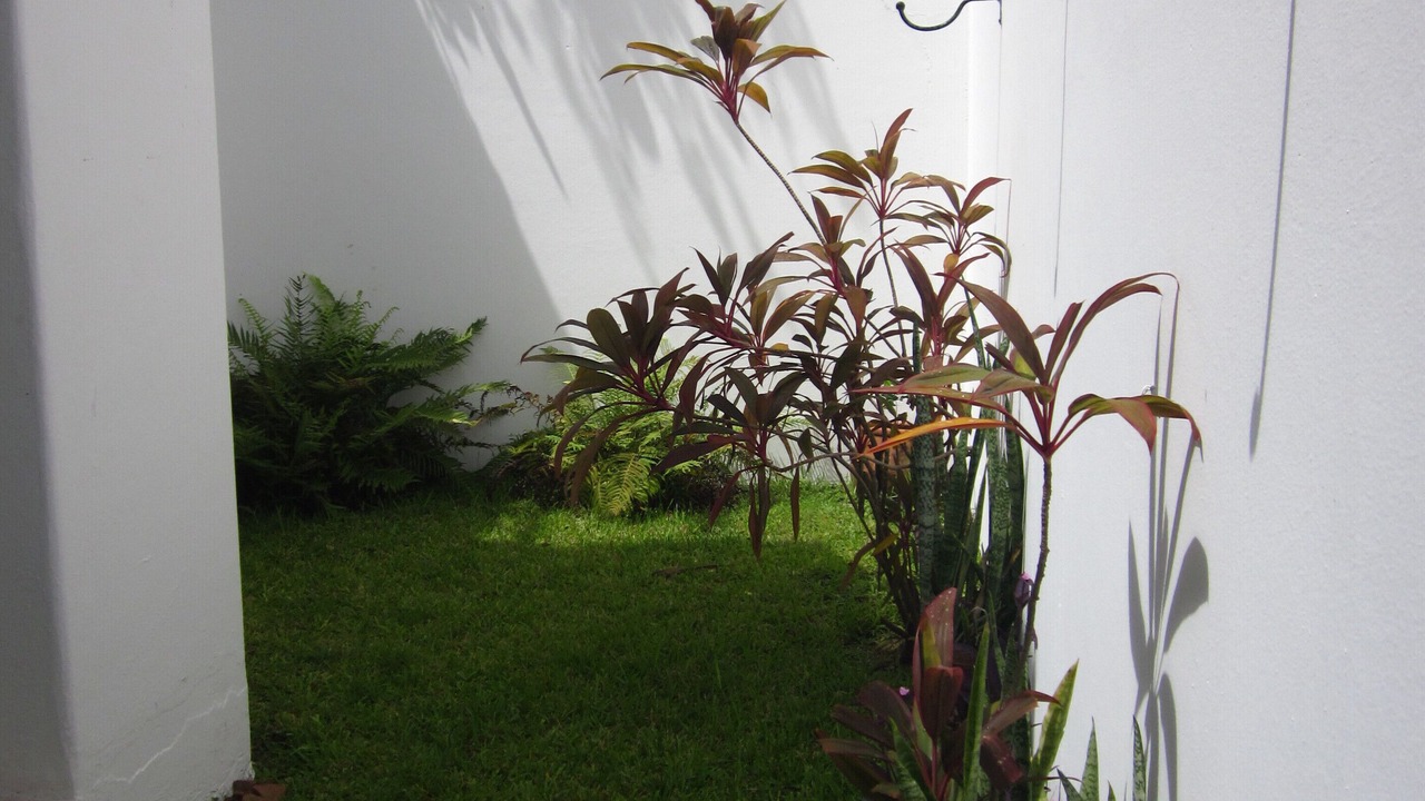 Photo of Others in Colonos Cuzamil