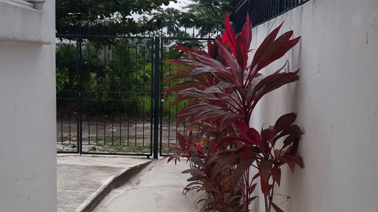 Photo of Others in Colonos Cuzamil