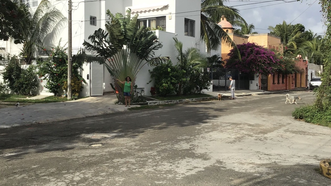 Photo of Others in Colonos Cuzamil