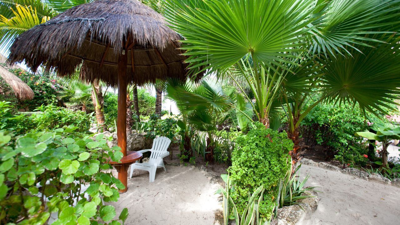 Photo of Patio Balcony in Centro - Supmza 001