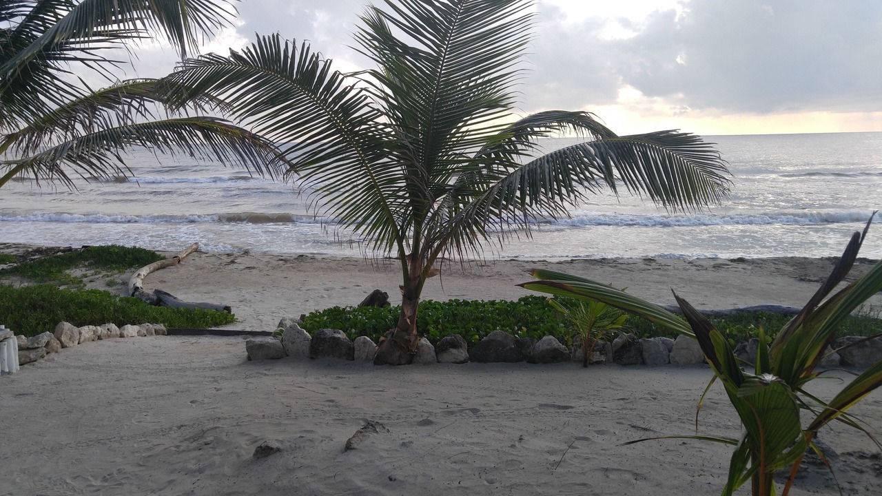 Photo of Others in Mahahual