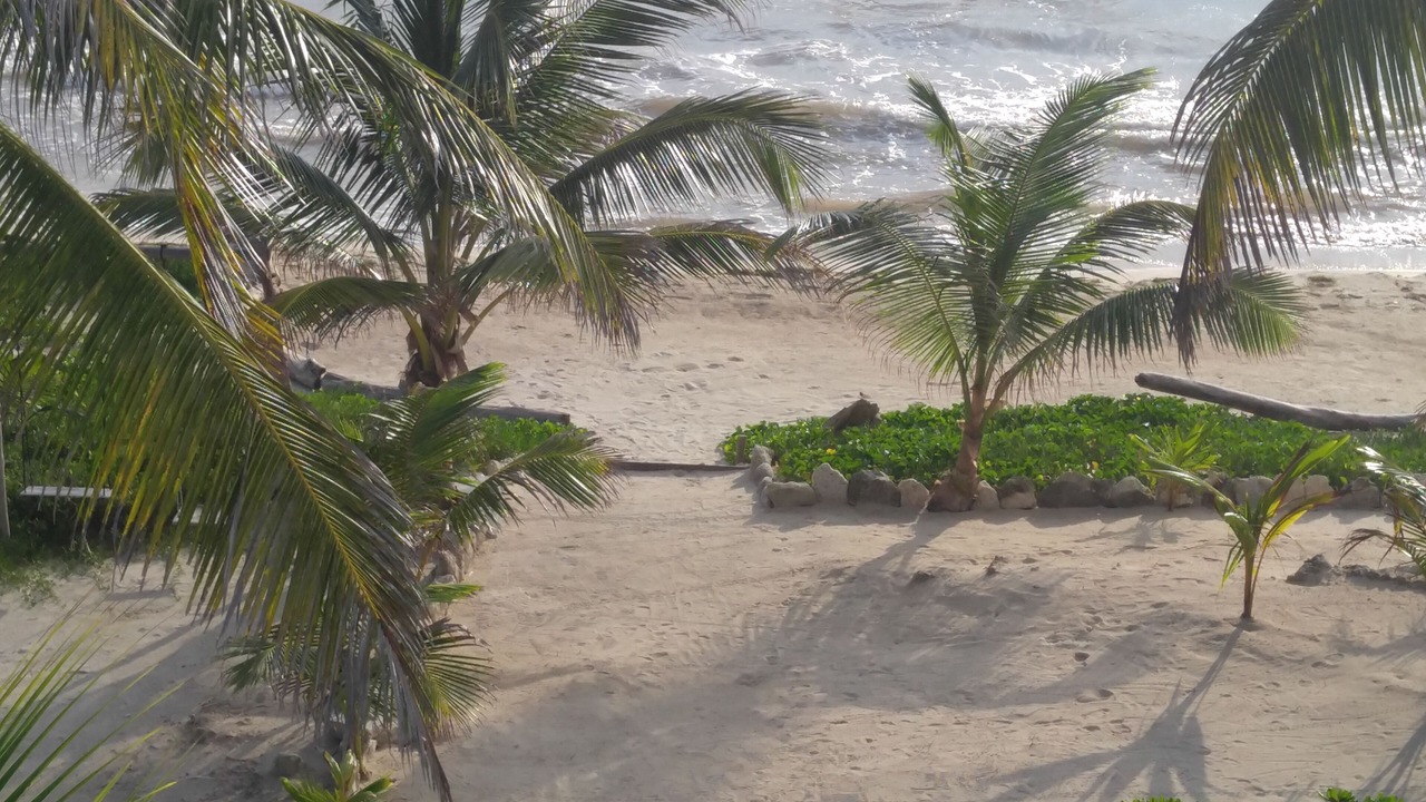 Photo of Others in Mahahual
