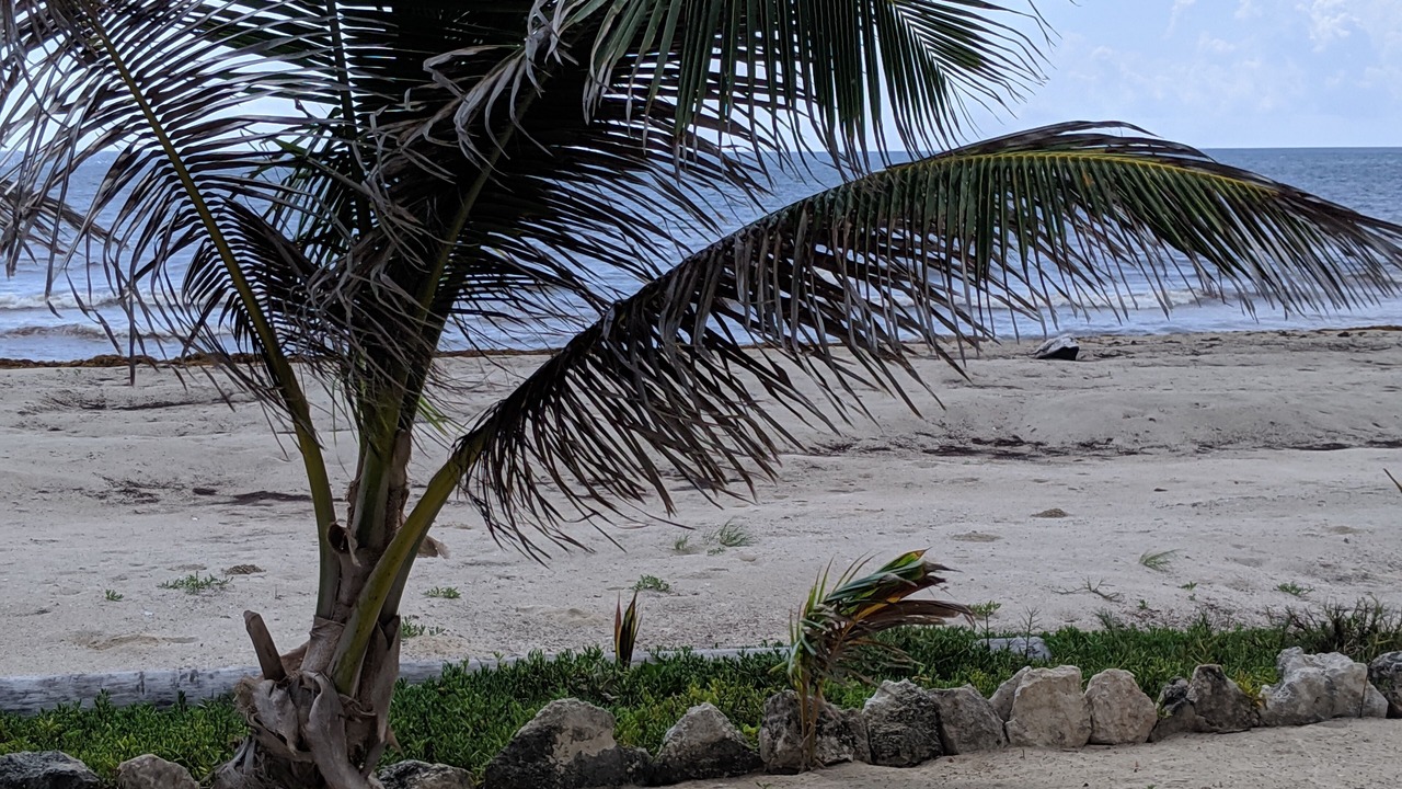 Photo of Others in Mahahual
