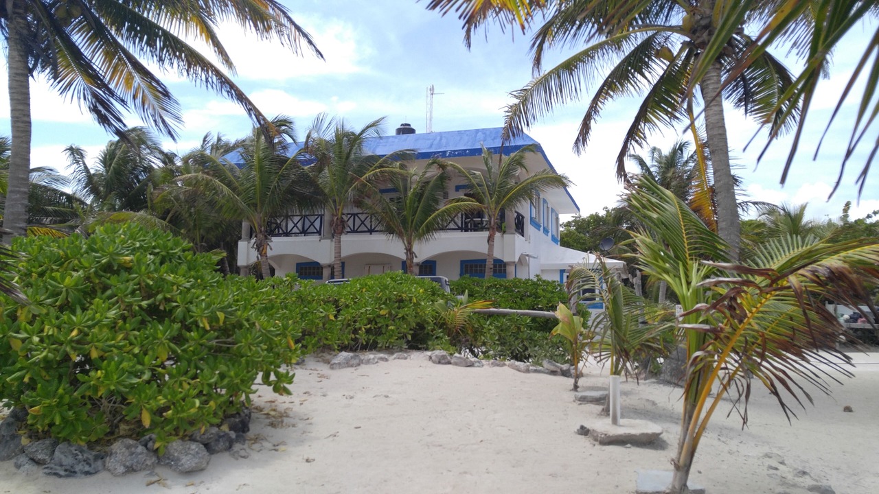 Photo of Others in Mahahual