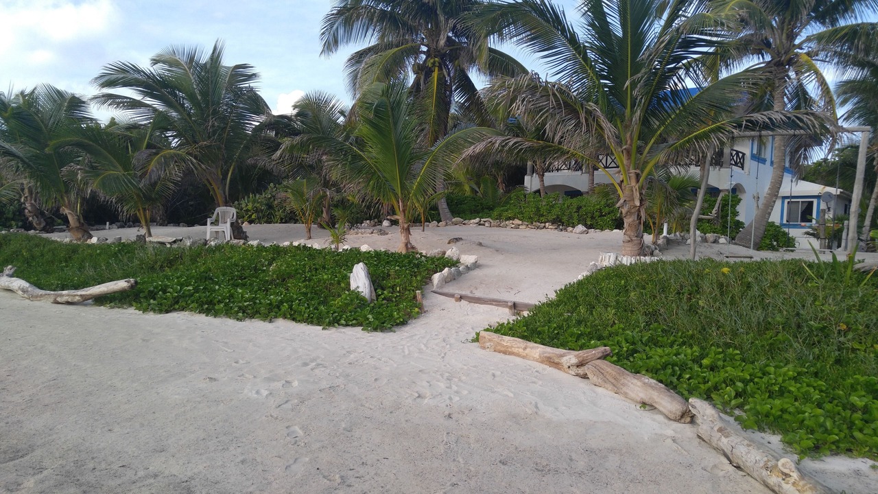 Photo of Others in Mahahual