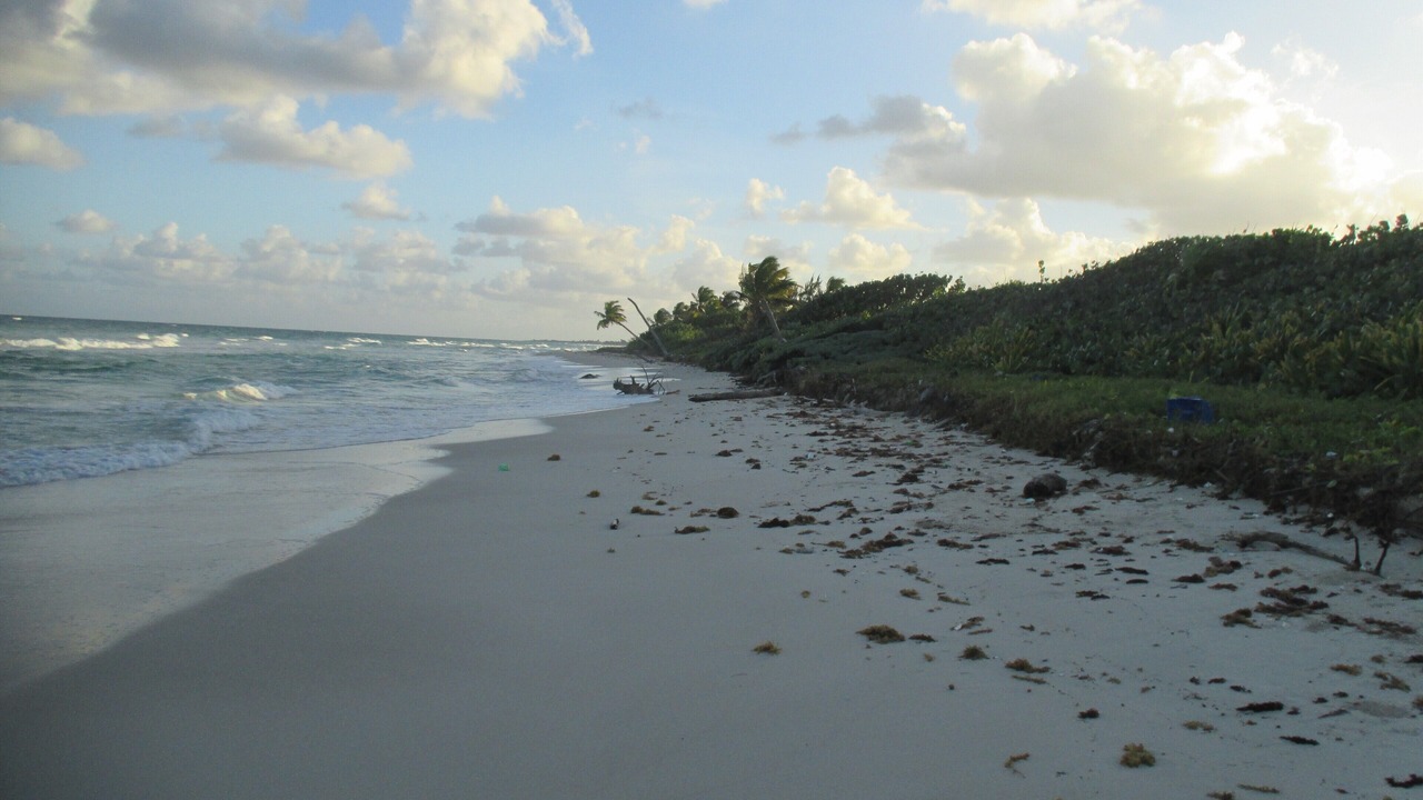 Photo of Others in Mahahual