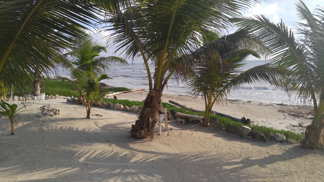 Photo of Others in Mahahual