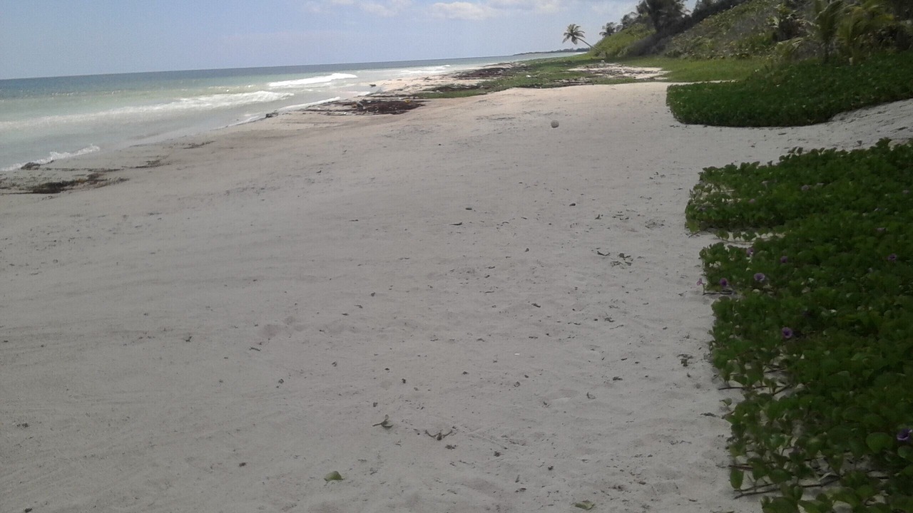 Photo of Others in Mahahual