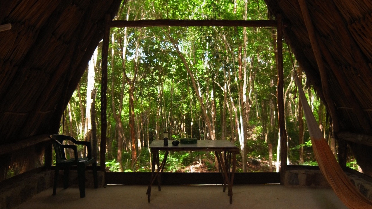 Photo of Outdoor in Macario Gomez