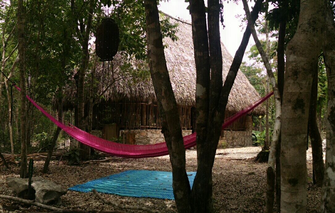 Photo of Outdoor in Macario Gomez