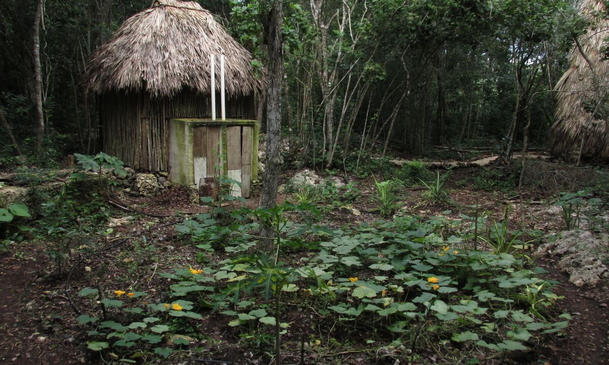 Photo of Outdoor in Macario Gomez
