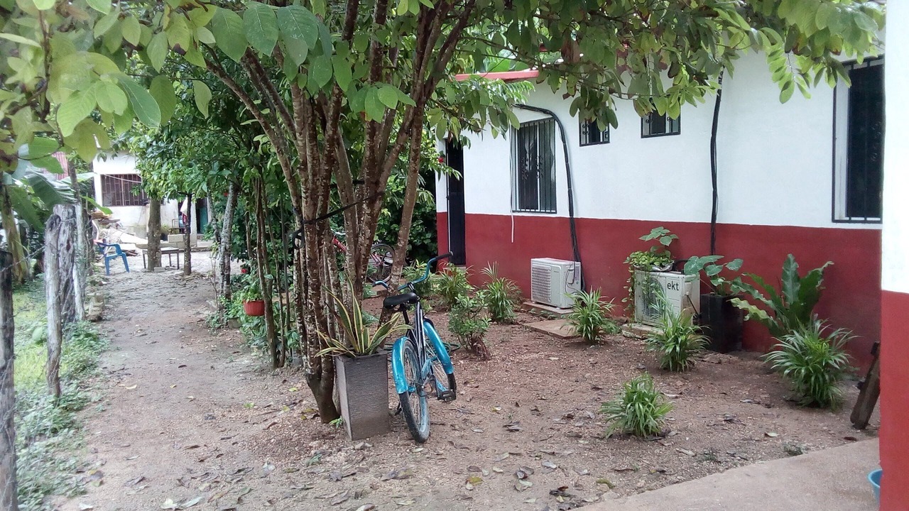 Photo of Outdoor in Bacalar