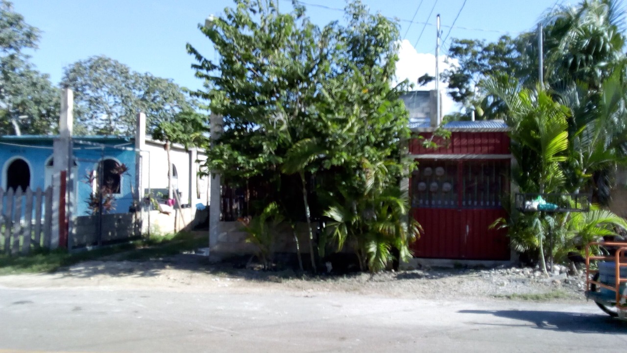 Photo of Outdoor in Bacalar