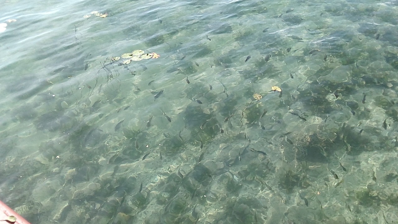 Photo of Outdoor in Bacalar