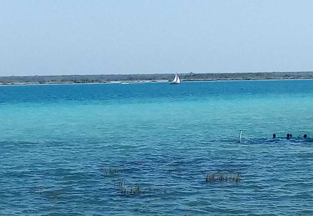 Photo of Others in Bacalar
