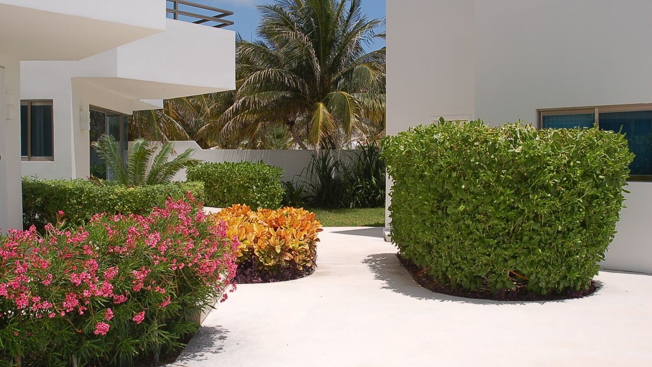 Photo of Outdoor in Puerto Morelos