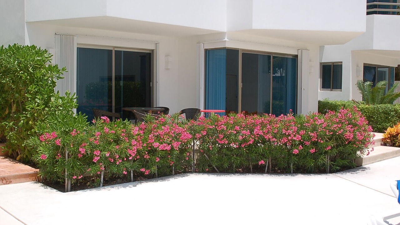Photo of Patio Balcony in Puerto Morelos