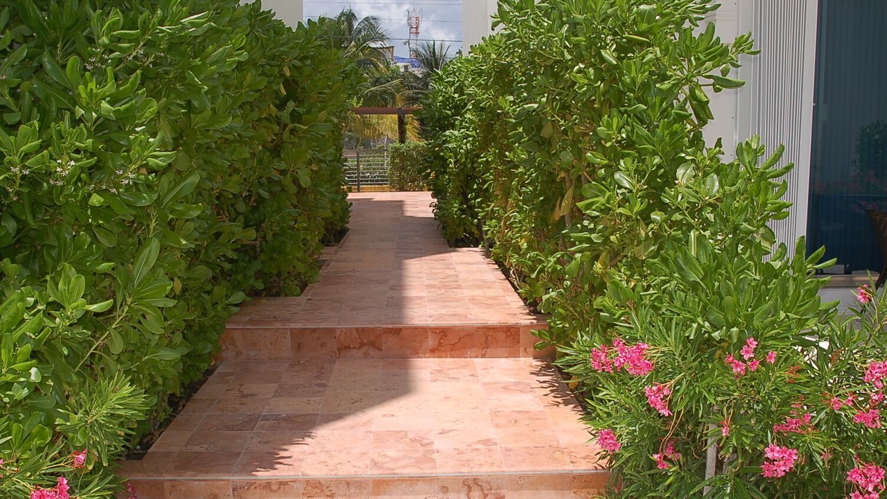 Photo of Outdoor in Puerto Morelos