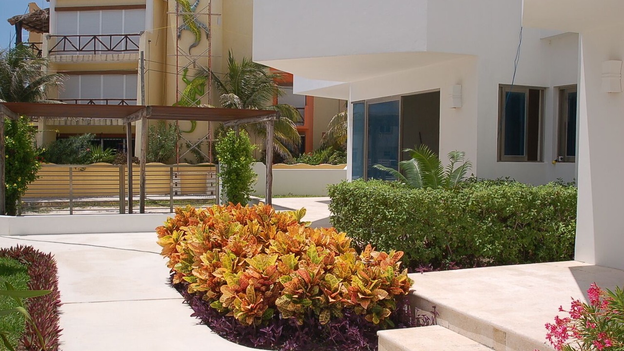 Photo of Outdoor in Puerto Morelos