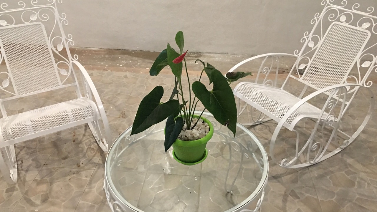 Photo of Outdoor in Centro