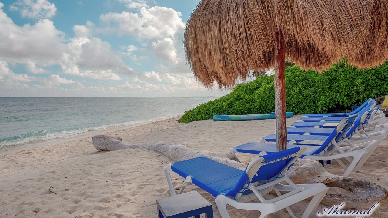 Photo of Others in Akumal