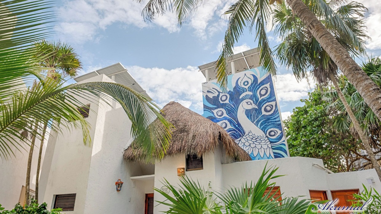 Photo of Outdoor in Akumal