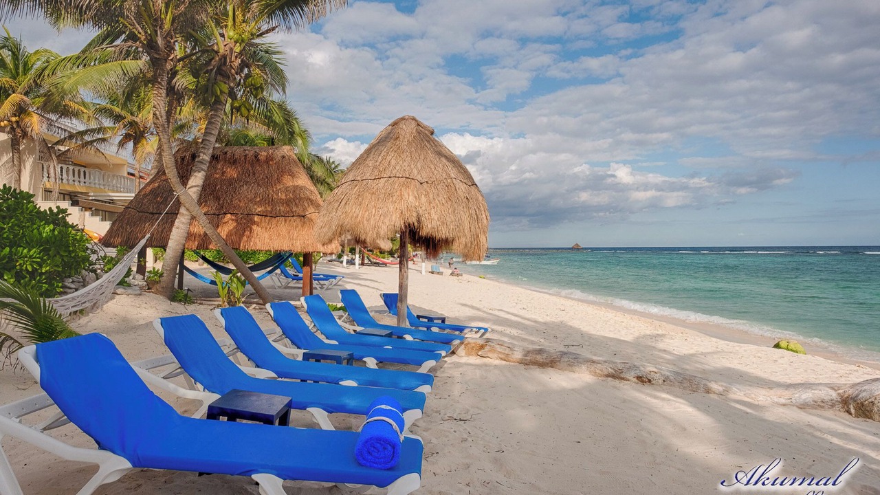 Photo of Others in Akumal