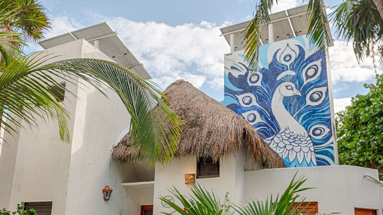 Photo of Outdoor in Akumal