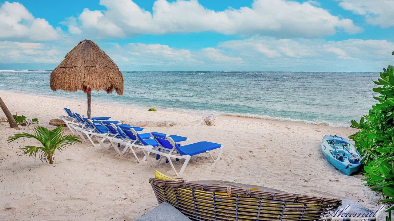 Photo of Others in Akumal