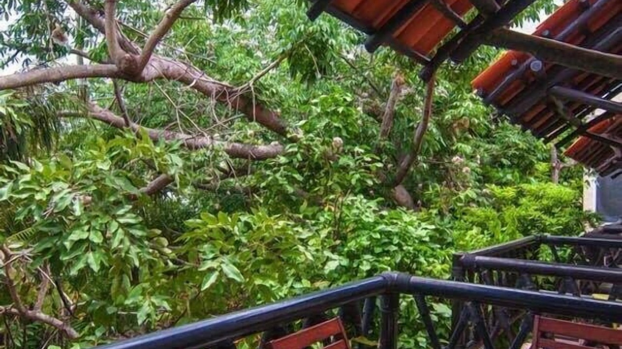 Photo of Patio Balcony in Downtown