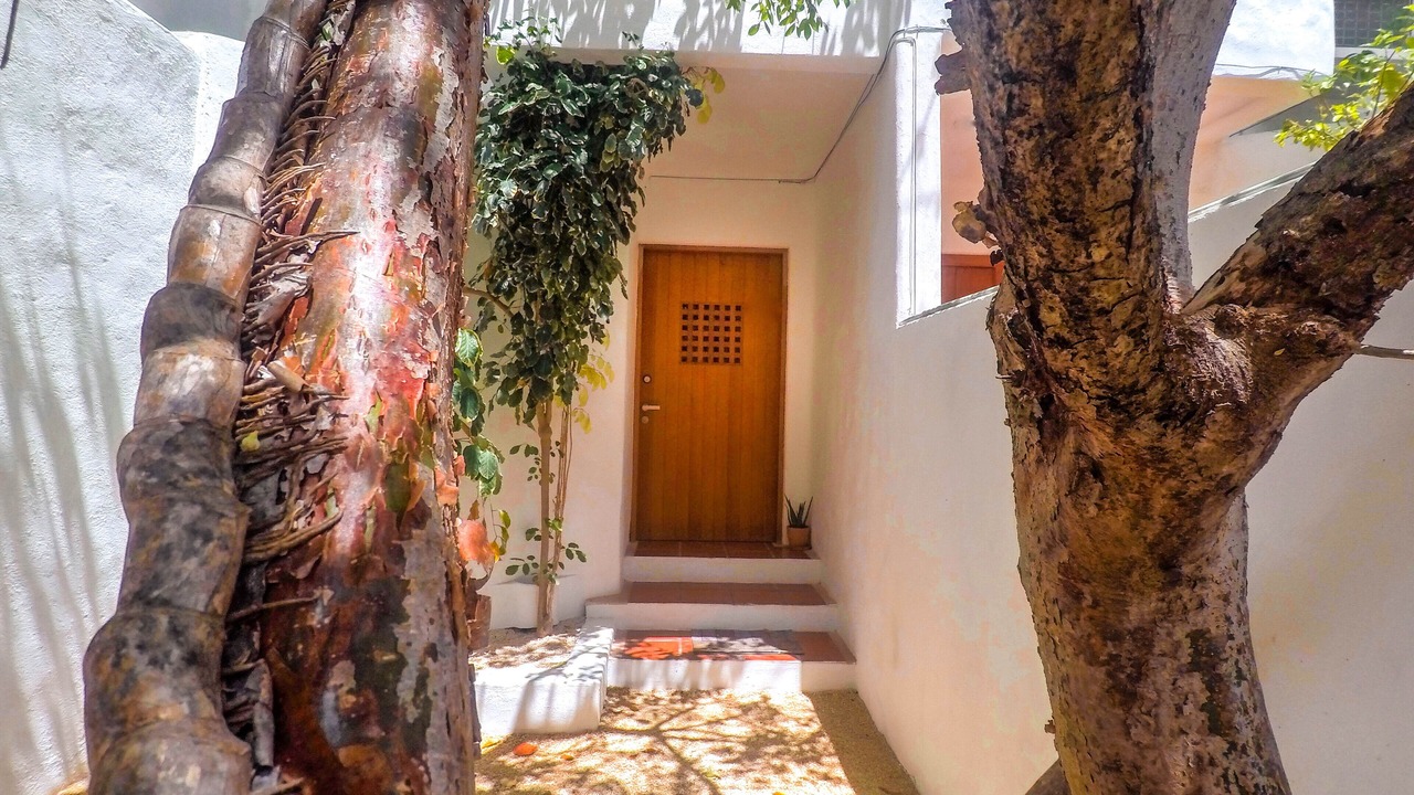 Photo of Outdoor in Puerto Juarez
